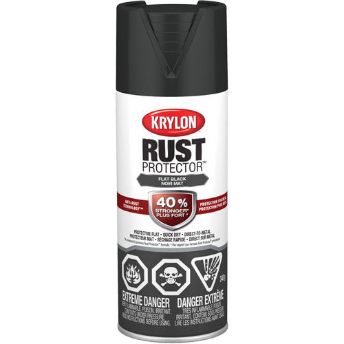 Rust Protector&reg; Enamel Paint, Black, Very Flat, 12 oz., Aerosol Can Solutions industrielles ALPHA