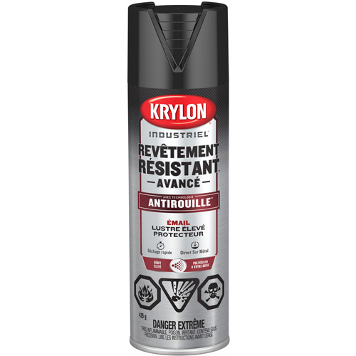 Tough Coat&reg; Advanced Paint with Rust Barrier Technology, Black, High-Gloss, 425 g, Aerosol Can Solutions industrielles ALPHA