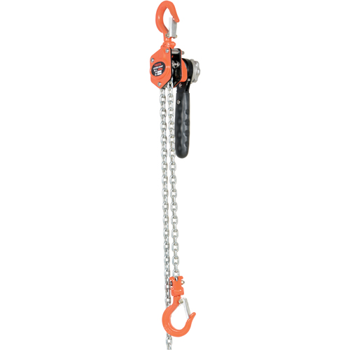 Mini palan &agrave; levier, Lev&eacute;e 10', Cabacit&eacute; 500 lb (0,25 tonne), Chaîne en Acier Solutions industrielles ALPHA
