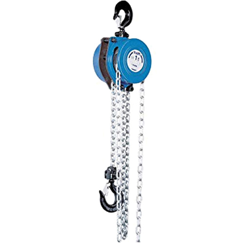 Tralift&reg; Manual Chain Hoist, 10' Lift, 4000 lbs. (2 tons) Capacity, Grade 80 Chain Solutions industrielles ALPHA