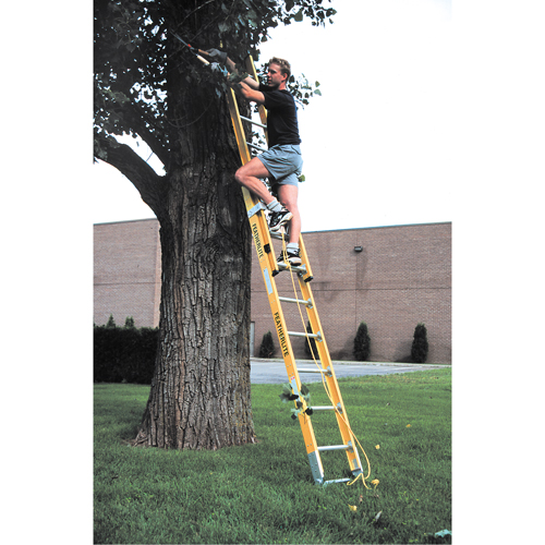 Industrial Heavy-Duty Extension Ladders (6200 Series), 375 lbs. Cap., 13' H, Grade 1AA Solutions industrielles ALPHA