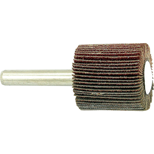 Disque &agrave; lamelles mont&eacute; sur mandrin, Grain 80, 1" x 1" x 1/4" Solutions industrielles ALPHA