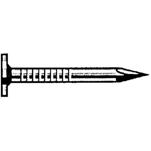 Roofing Electro-Galvanized, 7/16" Head Nails Solutions industrielles ALPHA