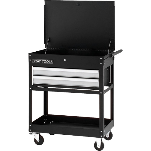 Chariot utilitaire, 2 tiroirs, 30-1/4" lo x 19" la x 35-3/4" h, Noir Solutions industrielles ALPHA