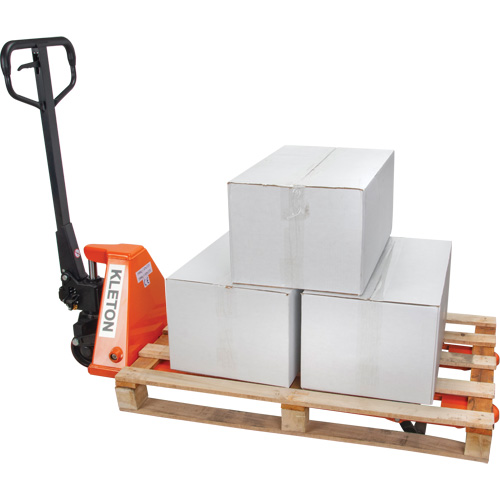 Low Profile Hydraulic Pallet Trucks, 48" L x 20.5" W, 3300 lbs. Cap. Solutions industrielles ALPHA