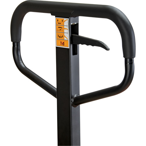 Manual Pallet Truck, Steel, 48" L x 21" W, 5500 lbs. Capacity Solutions industrielles ALPHA