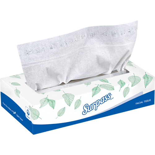 Mouchoirs Surpass, 2 pli, 8,3" lo x 7,8" la, 100 feuilles/boîte Solutions industrielles ALPHA