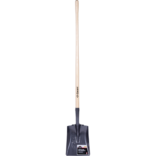 Pro Square Point Shovel, Wood, Tempered Steel Blade, Straight Handle, 48" Long Solutions industrielles ALPHA