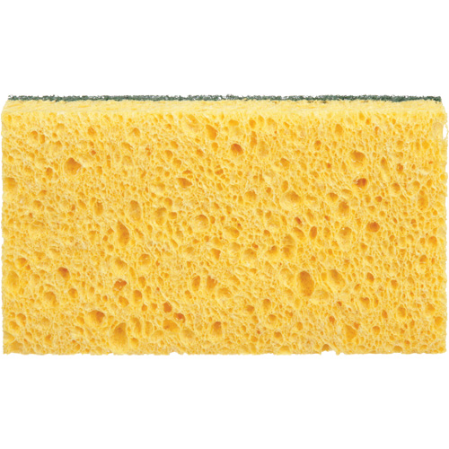 &eacute;ponges utilitaires, Cellulose, 6" la x 3-1/2" l Solutions industrielles ALPHA