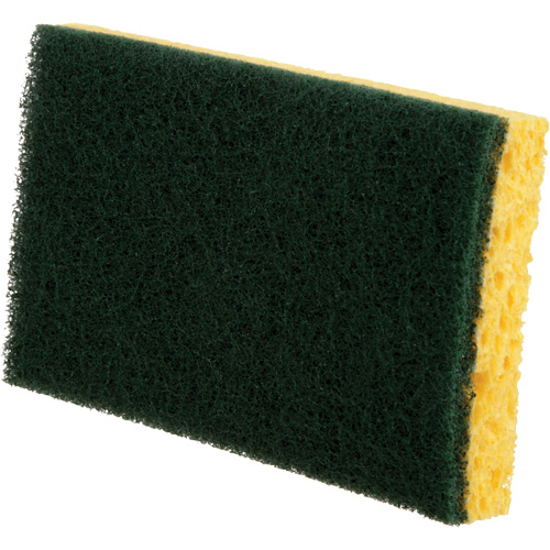 &eacute;ponges utilitaires, Cellulose, 6" la x 3-1/2" l Solutions industrielles ALPHA