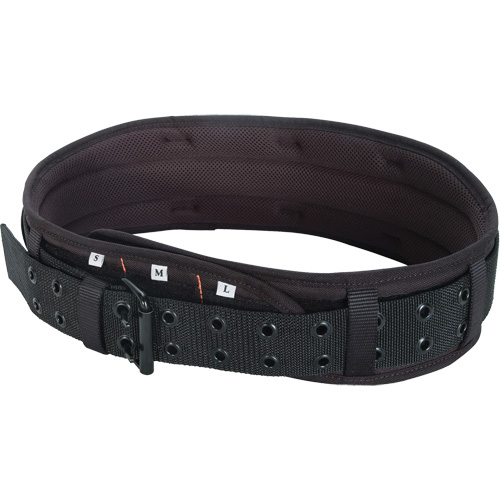 Tool Belt, Leather, Black Solutions industrielles ALPHA