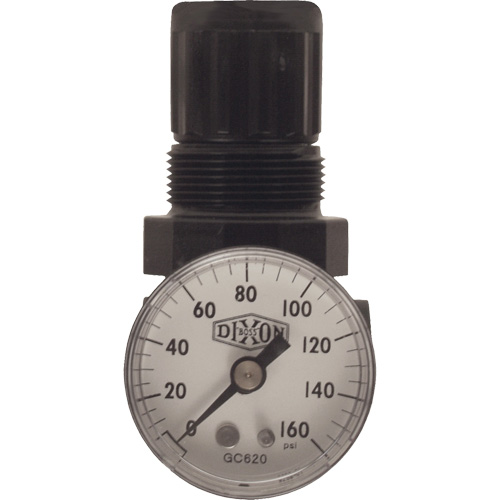 R&eacute;gulateur miniature de s&eacute;rie 1, 1/8" NPT, PSI max. de 100 psi, Standard Solutions industrielles ALPHA