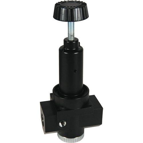 Wilkerson High Flow Regulator R30, 1" NPT, 300 psi Max. PSI, Standard Solutions industrielles ALPHA