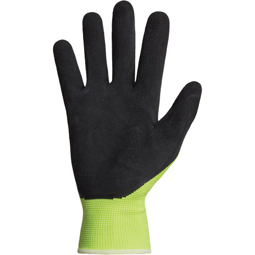 Dexterity&reg; Coated Gloves, 10, Latex Coating, 13 Gauge, Polyester Shell Solutions industrielles ALPHA