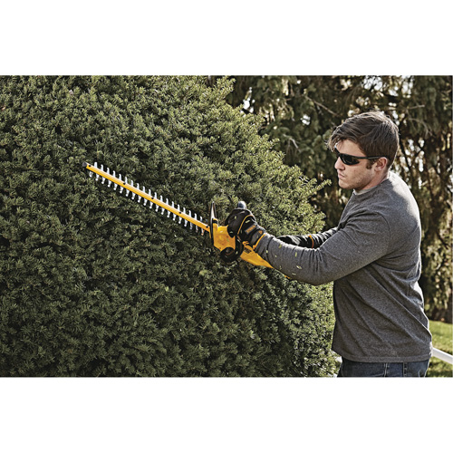 MAX* Hedge Trimmer, 22", 20 V, Battery Powered Solutions industrielles ALPHA