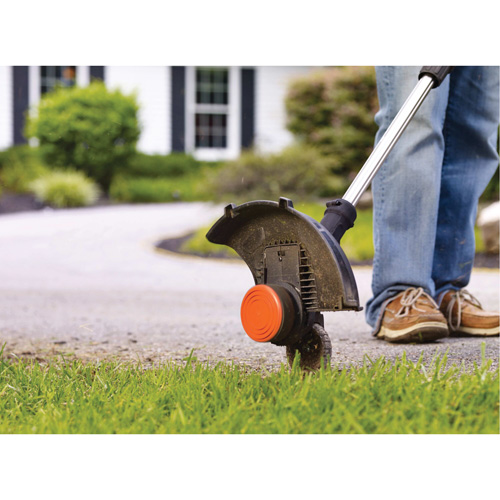 Ensemble de coupe-bordure/taille-bordure sans fil &agrave; 2 vitesses Max*, 12", &agrave; pile, 20 V Solutions industrielles ALPHA