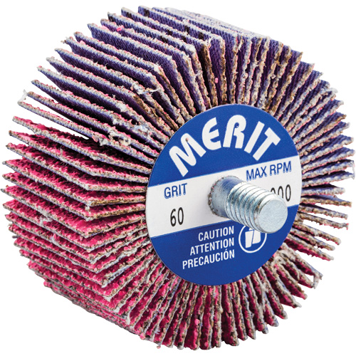 Threaded Mini Flap Wheel, Ceramic Alumina, 60 Grit, 2" x 1" x 1/4"-20 Solutions industrielles ALPHA