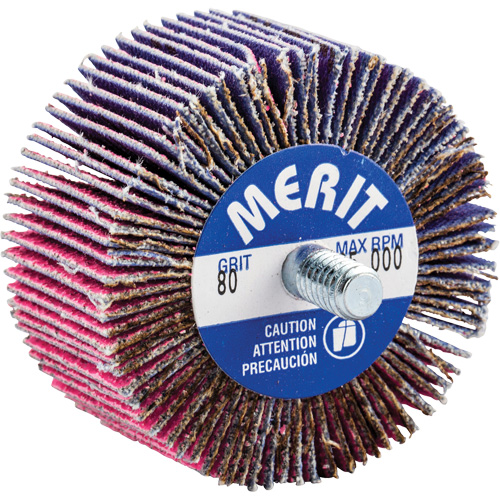 Threaded Mini Flap Wheel, Ceramic Alumina, 80 Grit, 2" x 1" x 1/4"-20 Solutions industrielles ALPHA