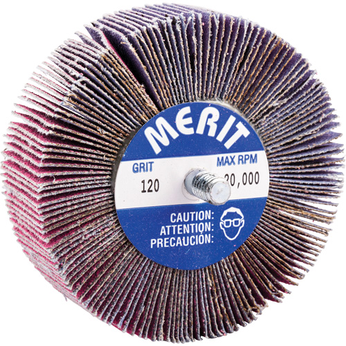 Mini-meule &agrave; lamelles filet&eacute;es, C&eacute;ramique d'alumine, Grain 120, 3" x 1" x 1/4"-20 Solutions industrielles ALPHA