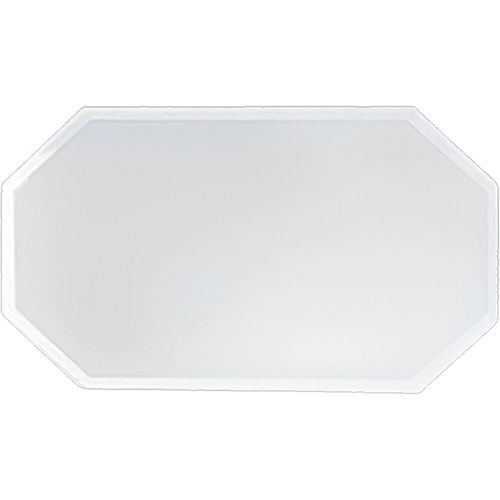 Replacement Plastic Shield for Suction & Pressure Cabinets Solutions industrielles ALPHA