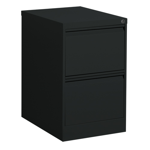 Classeur vertical, Acier, 2 tiroirs, 18-1/7" la x 25" p x 29" h, Noir Solutions industrielles ALPHA