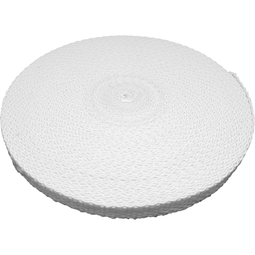 Fibreglass Tape, 3.175 mils Thick, 25 mm (1") x 30.48 m (100')  Solutions industrielles ALPHA