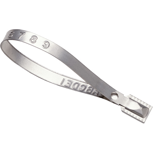 Scell&eacute;s Guard Lock, 8-3/8", M&eacute;tal, Scell&eacute; pour camion Solutions industrielles ALPHA