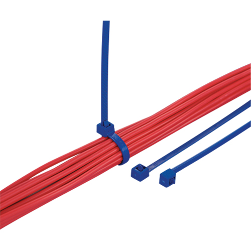 Attaches d&eacute;tectables pour c&acirc;bles, 5-9/10" lo, R&eacute;sistance &agrave; la traction 30 lb Solutions industrielles ALPHA