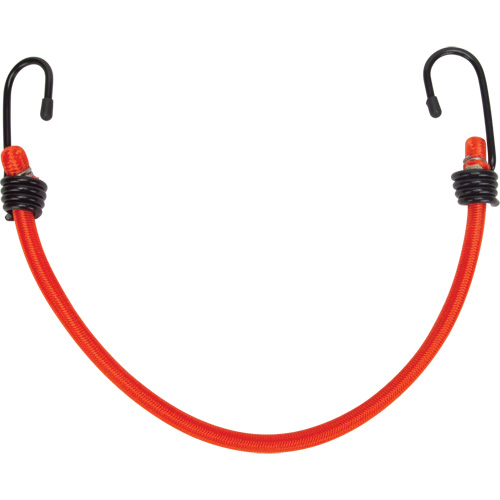 Bungee Cord Tie Downs, 12" Solutions industrielles ALPHA