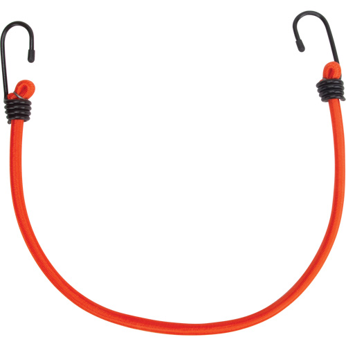 Bungee Cord Tie Downs, 18" Solutions industrielles ALPHA
