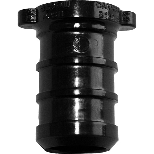 Pipe Plug, Pipe, 1" Dia., Polyalloy Solutions industrielles ALPHA