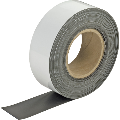 Write-On Magnetic Tags, Magnetic, 600" L x 2" W Solutions industrielles ALPHA