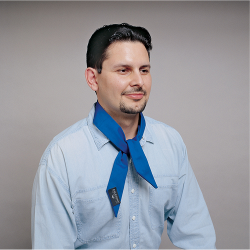 Serviette refroidissante standard, Bleu Solutions industrielles ALPHA