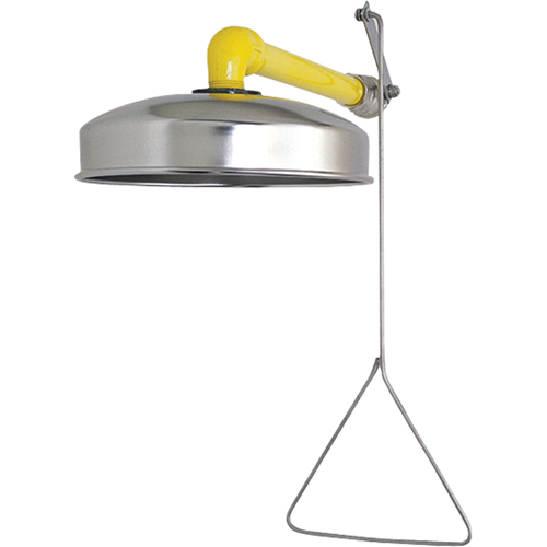 Horizontal Supply Emergency Shower Stations, Wall-Mount Solutions industrielles ALPHA