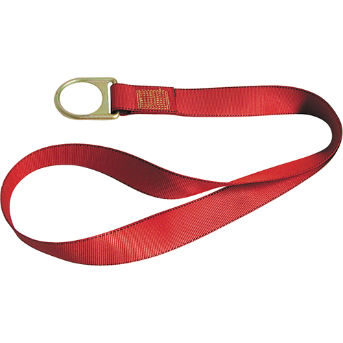 PointGuard Anchorage Connector Straps, D-Ring, Temporary Use Solutions industrielles ALPHA