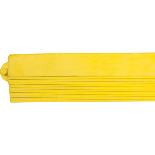 Rampe de bordure pour tapis Solutions industrielles ALPHA