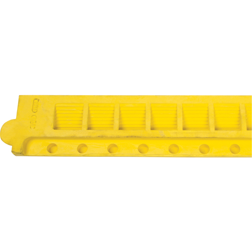 Rampe de bordure pour tapis Solutions industrielles ALPHA