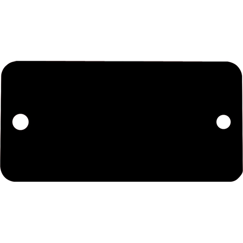Blank Tags, Aluminum, 3" W x 1" H Solutions industrielles ALPHA
