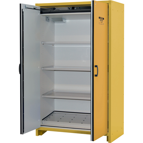Armoire d'entreposage 30 minutes s&eacute;curitaire et conforme &agrave; la norme EN, 45 gal., 2 Porte(s), 45,83" La x 76,65" h x 24,21" p Solutions industrielles ALPHA