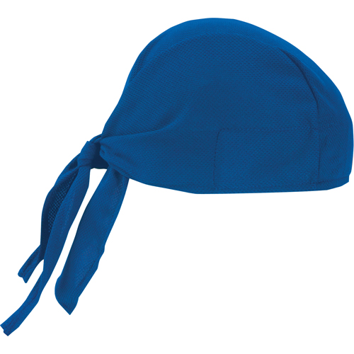 Coiffes de refroidissement Chill-Its 6615, Bleu Solutions industrielles ALPHA