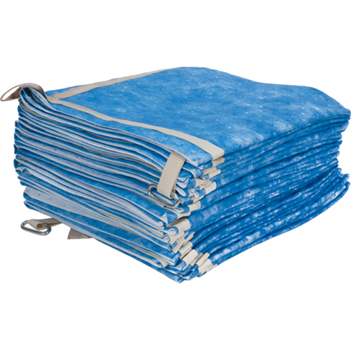 Oil Only Sorbent Sweep Solutions industrielles ALPHA