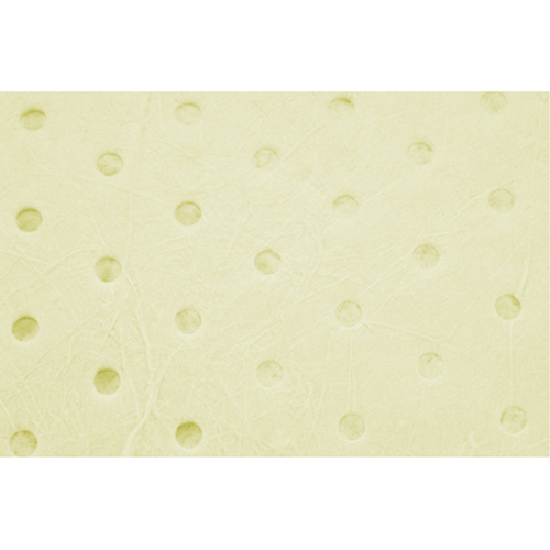 Rouleaux absorbants en fibres fines de calibre industriel, Poids moyen, 150' lo x 15" la, Absorption 25 gal. Solutions industrielles ALPHA