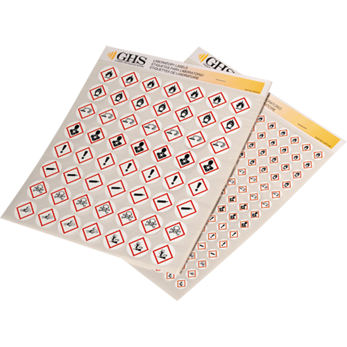 Assortiment d'&eacute;tiquettes avec pictogrammes sgh, Vinyle, Feuille, 1/2" lo x 1/2" la Solutions industrielles ALPHA