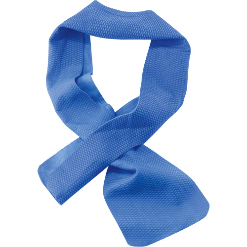 Chill-Its&reg; 6603 Evaporative Cooling Band, Blue Solutions industrielles ALPHA