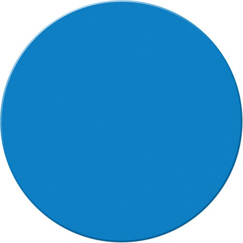 Marqueurs all&eacute;g&eacute;e/5S Armor Stripe, Cercle, 6" lo x 6" la, Bleu, Plastique Solutions industrielles ALPHA