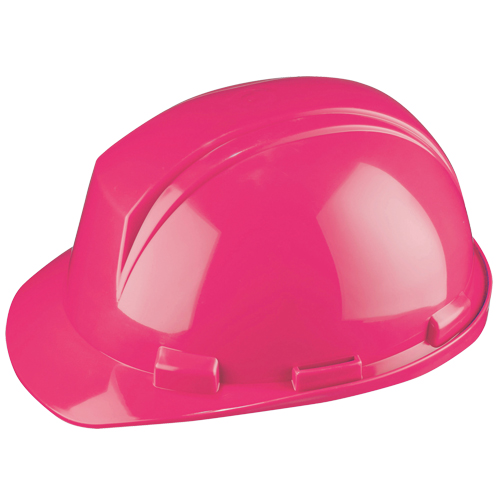 Dynamic Mont-Blanc Hardhat, Meets CSA Type 2, Pinlock Suspension, Non-Vented Solutions industrielles ALPHA