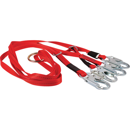 Dynamic Bridle for Wire Basket Stretcher Solutions industrielles ALPHA