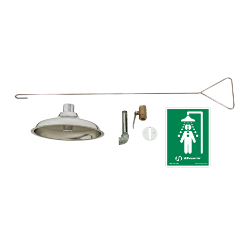 Concealed Drench Shower, Ceiling-Mount Solutions industrielles ALPHA
