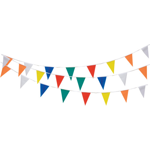Pennant String, 60' L, Multicolour Solutions industrielles ALPHA