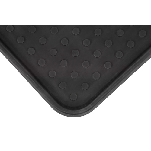 Plateau &agrave; chaussures, Plastique, Noir, 25" lo x 14" la Solutions industrielles ALPHA